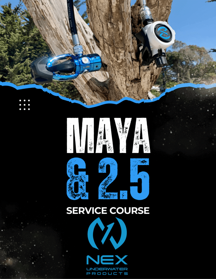 Promotional graphic for Maya & 2.5 service course with artistic blue and black design.